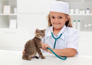 10 hot trends and topics in veterinary medicine right now