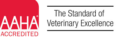 Veterinarian in Katy, TX | Circle B Veterinary Hospital